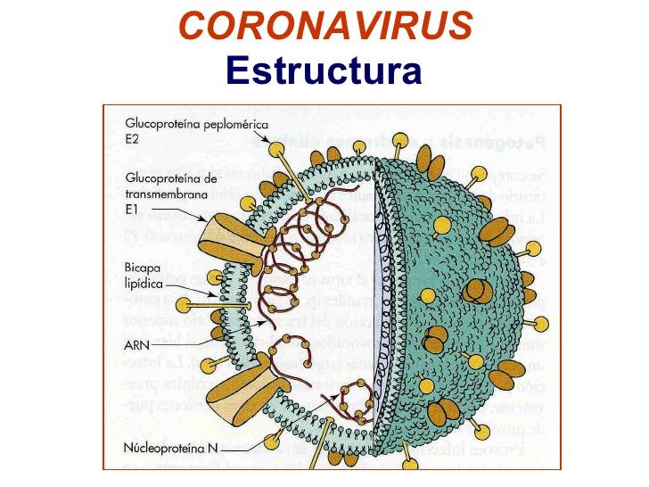 Ver las imágenes de origen