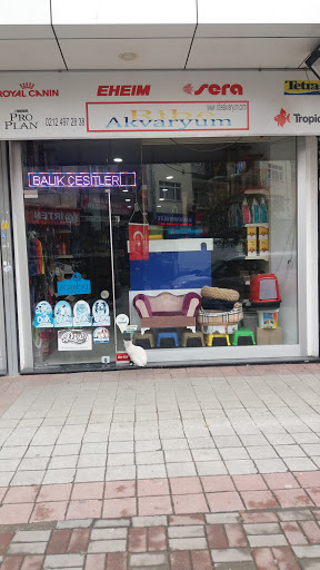 Ribe Akvaryum | Gaziosmanpaşa İstanbul - Evcil hayvan mağazası