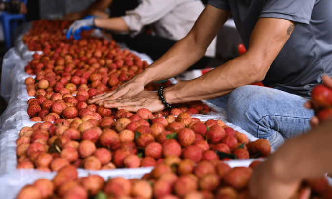 efforts stepped up to resume fruits exports to us