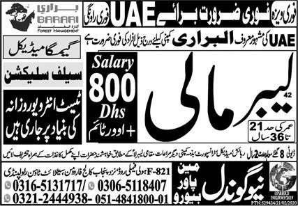 Labor & Mali Jobs 2023 in UAE