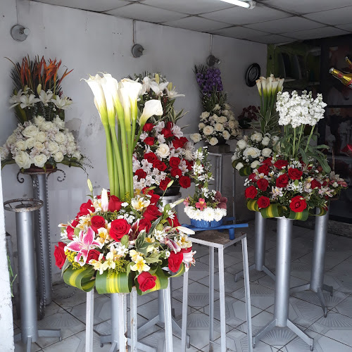 Opiniones de Blanflor en Quito - Floristería
