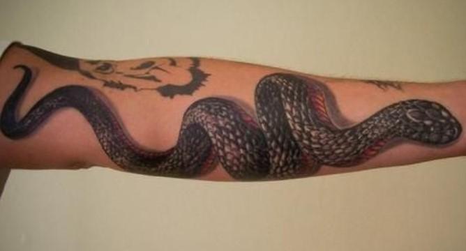25+ Black and Grey Snake Tattoo Designs - PetPress