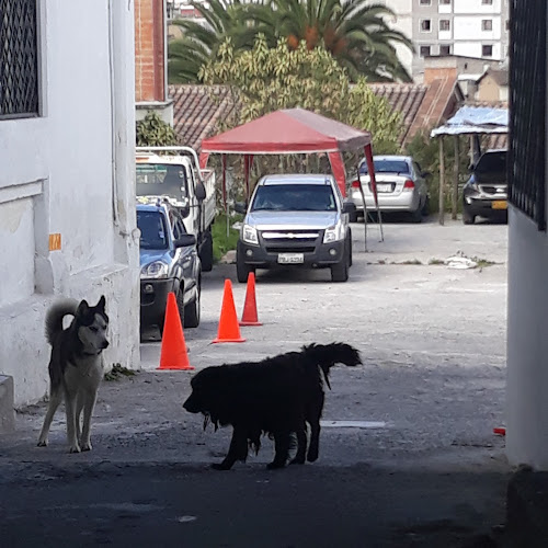 Loja Oe2-198, Quito 170130