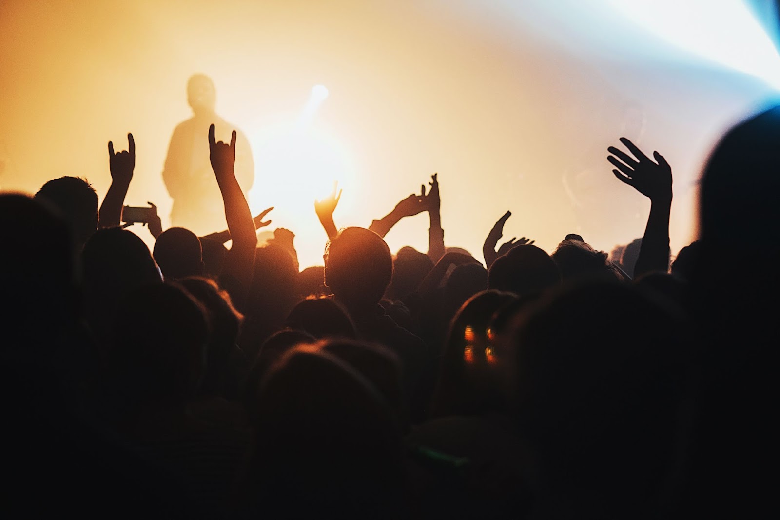 Silhueta de uma multidão em frente a um show de música. Ao fundo, aparece a silhueta de um homem que parece estar no palco.
