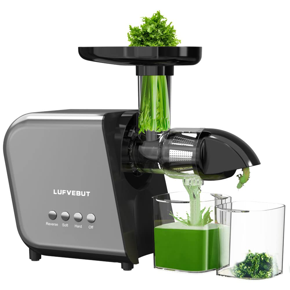 10 Best Celery Juicers Guide For 2024 | Sarah Scoop