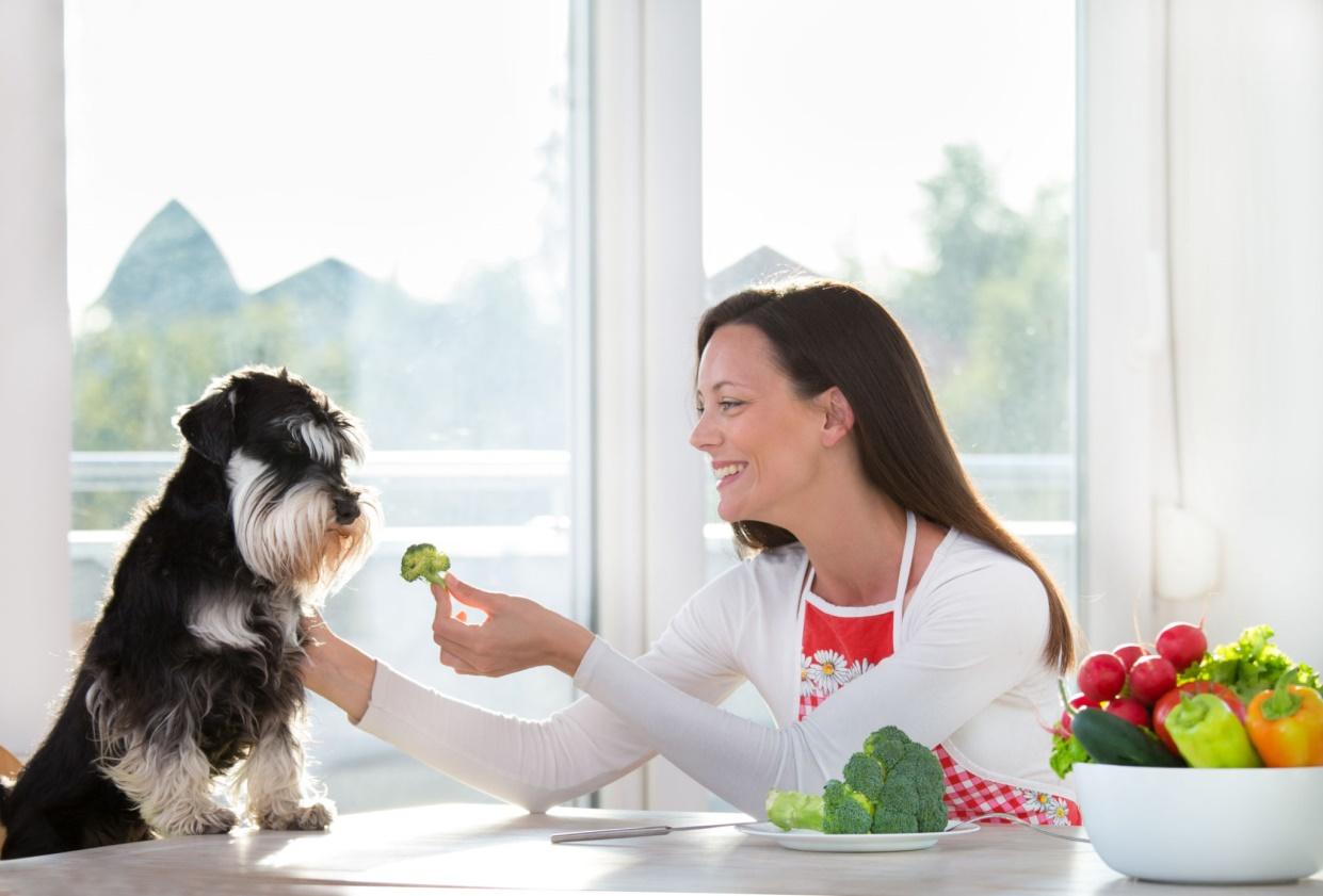Is Broccoli Good For Dogs