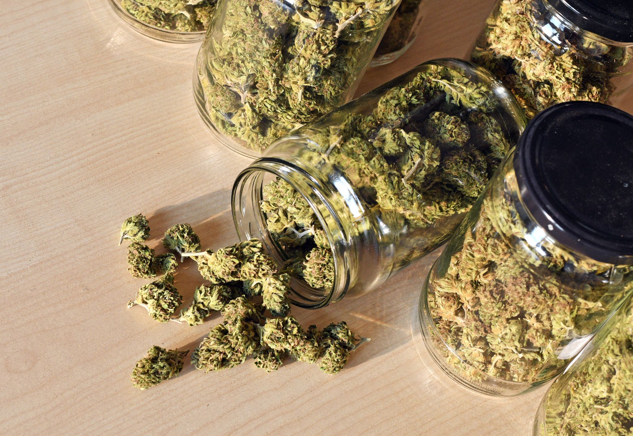 La mejor forma de conservar y almacenar la marihuana | FlorProhibida