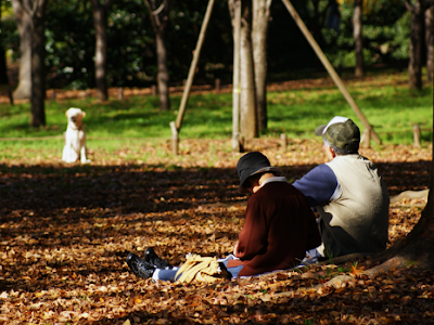 70以上 犬 老衰 症状 260433-犬 老衰 症状