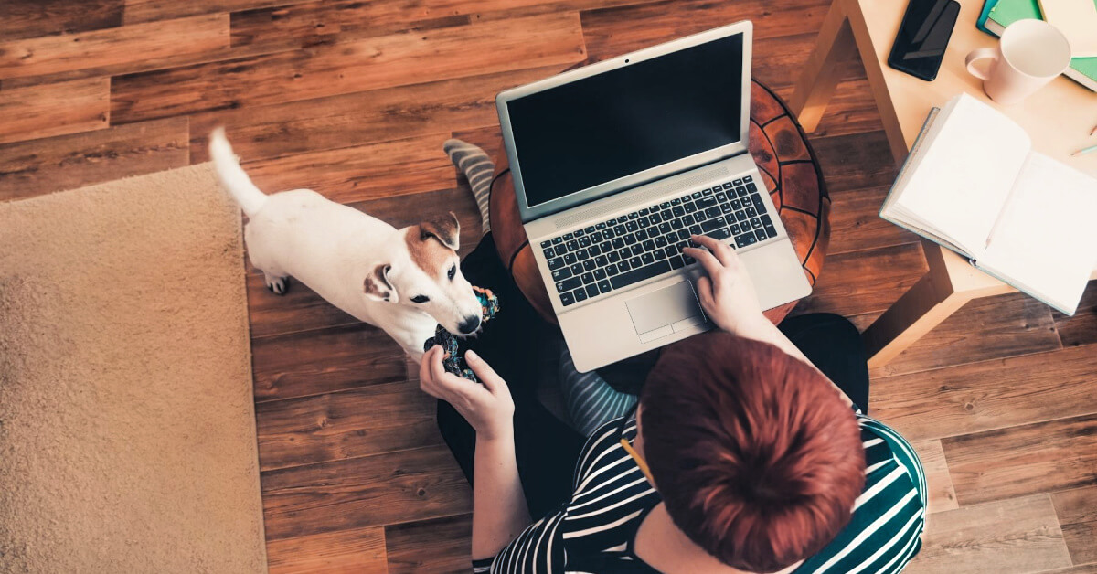 Woman working on a laptop while playing with her dog.