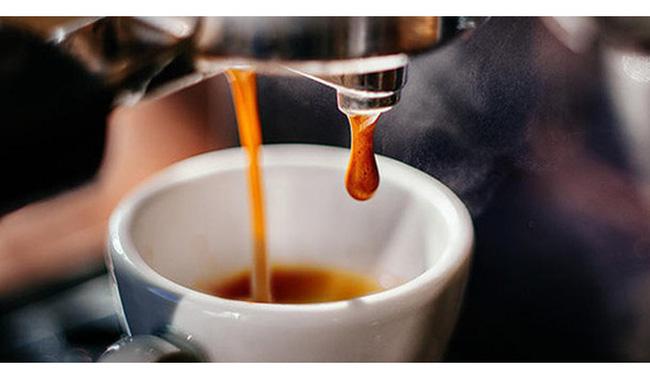 Nguyên liệu, chất phụ gia được phép sử dụng khi chế biến cà phê arabica