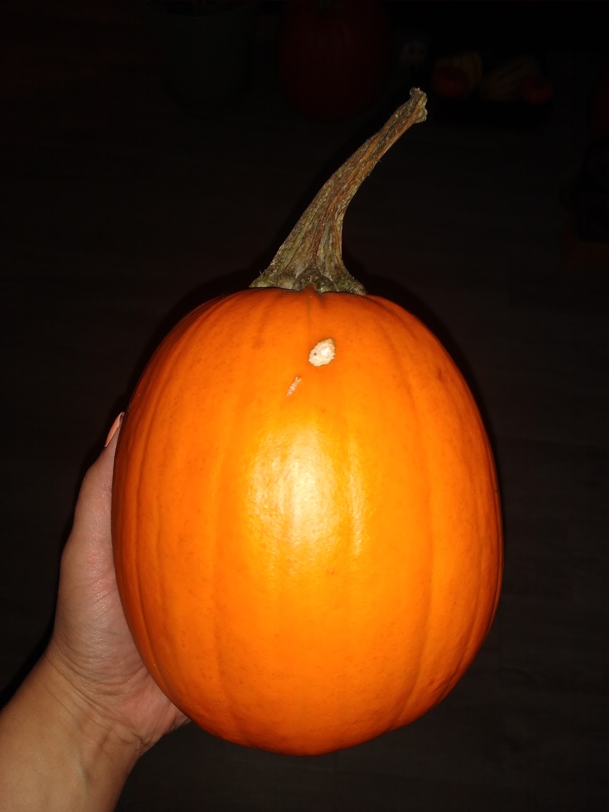 grown from seed pumpkin picture