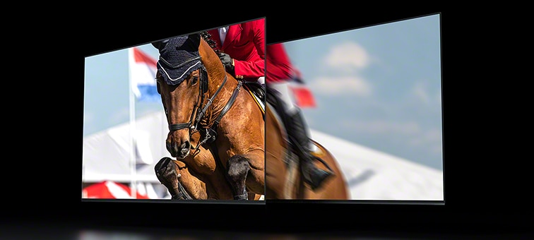 Dual screens showing a horse and rider in a showjumping event with smoother motion on left screen due to 120Hz panel