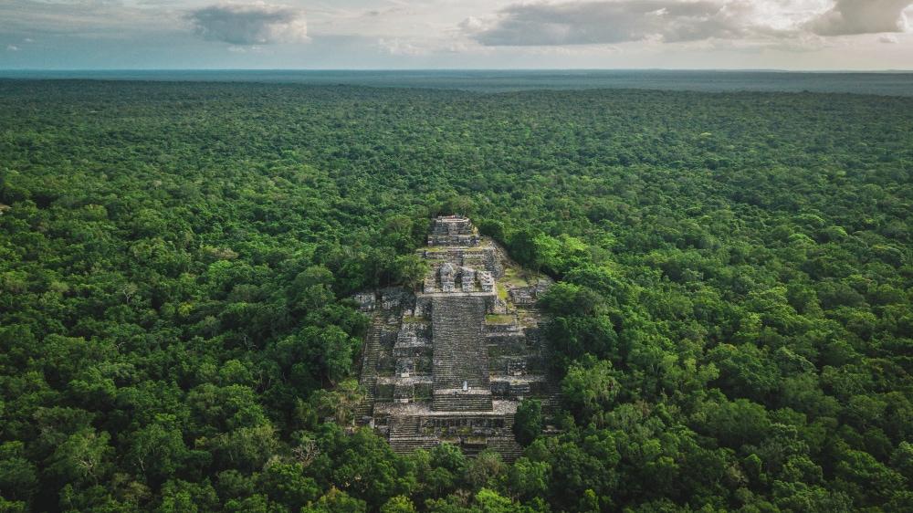 Visita a la zona arqueológica de Calakmul - Viajeros Ocultos