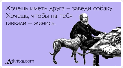  (юмор)
