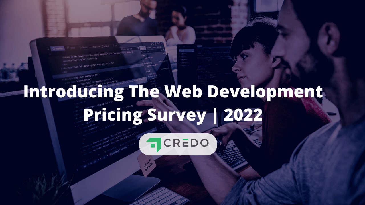 web-development-pricing-survey (1)