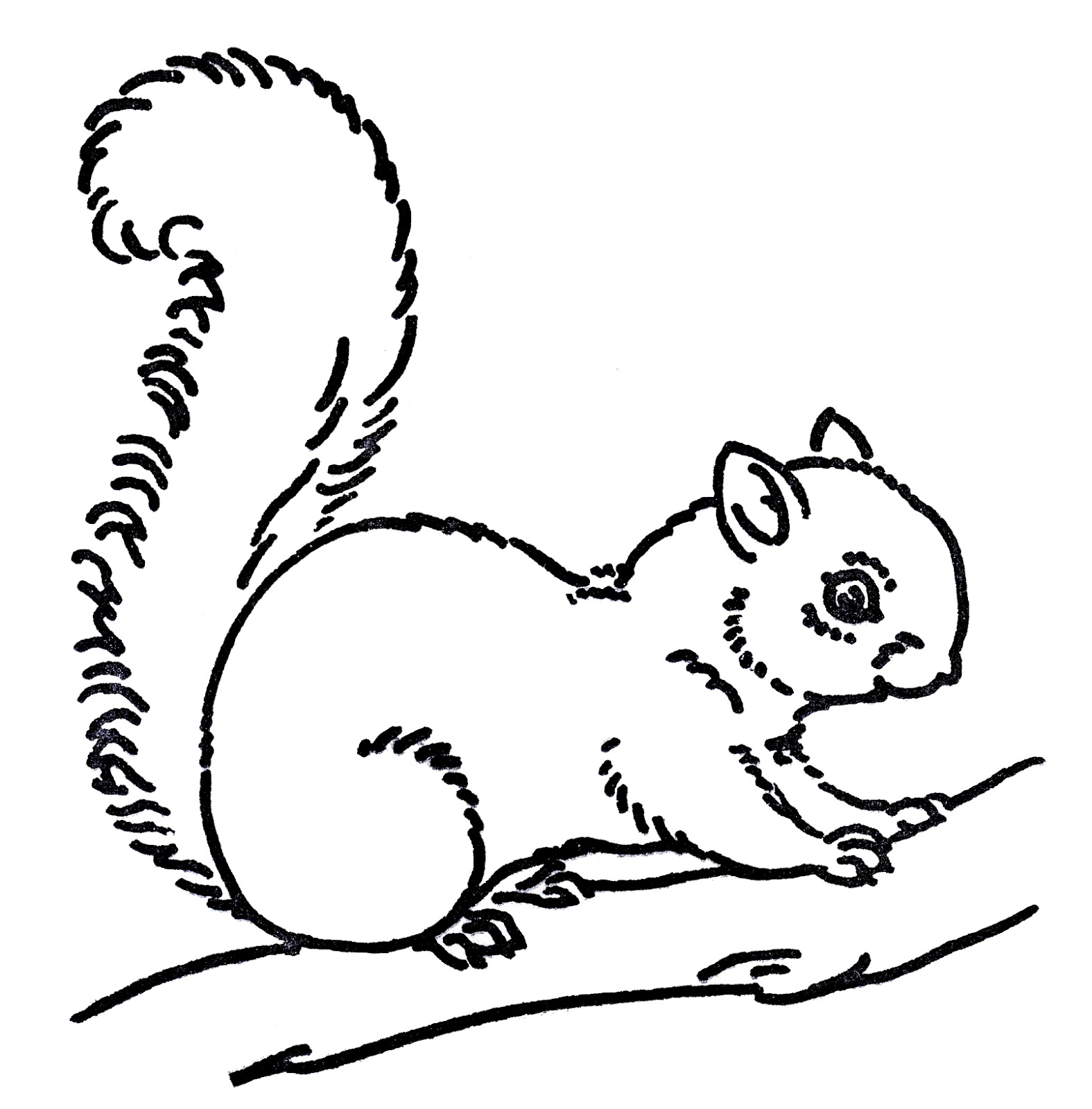 Squirrel-Line-Art-GraphicsFairy.jpg