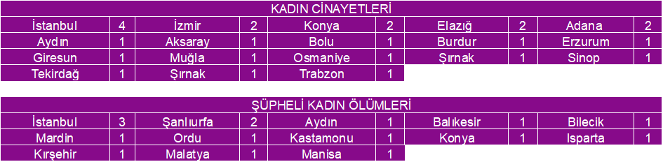 2022 Nisan Ay Kadn Cinayetleri statistii