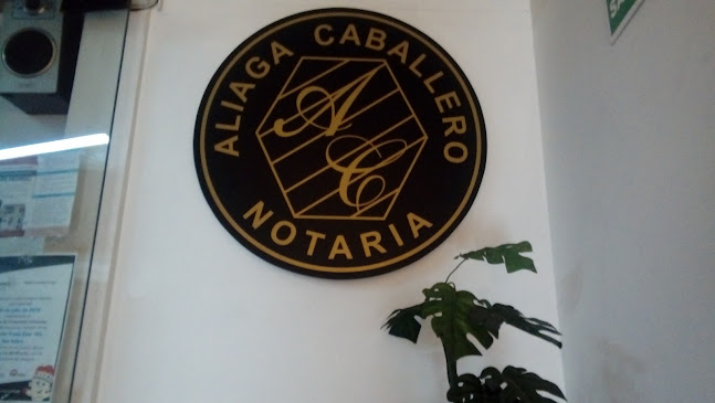 Opiniones de NOTARIA ALIAGA CABALLERO en San Isidro - Notaria