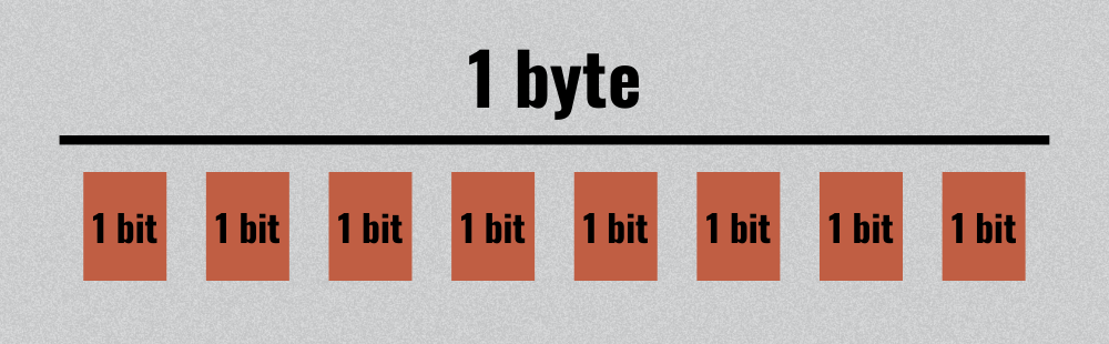 A graphic that shows how many bits are in one byte.