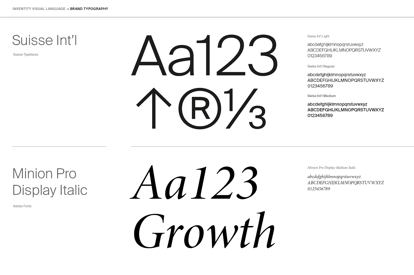 Inventity branding: a cohesive visual identity for ambitious growth - brand identity artifact