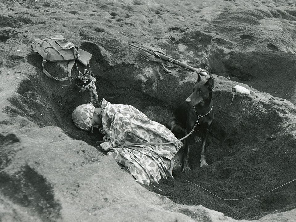 War Dog, Butch, stands guard as his handler, a Marine, naps in Iwo Jima. Image courtesy of National Archives.