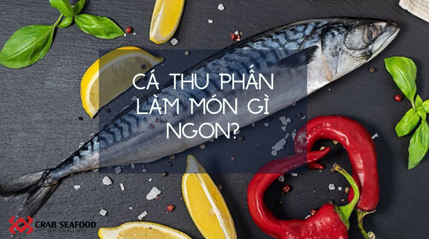 Cá thu phấn nên chế biến món gì thì ngon?