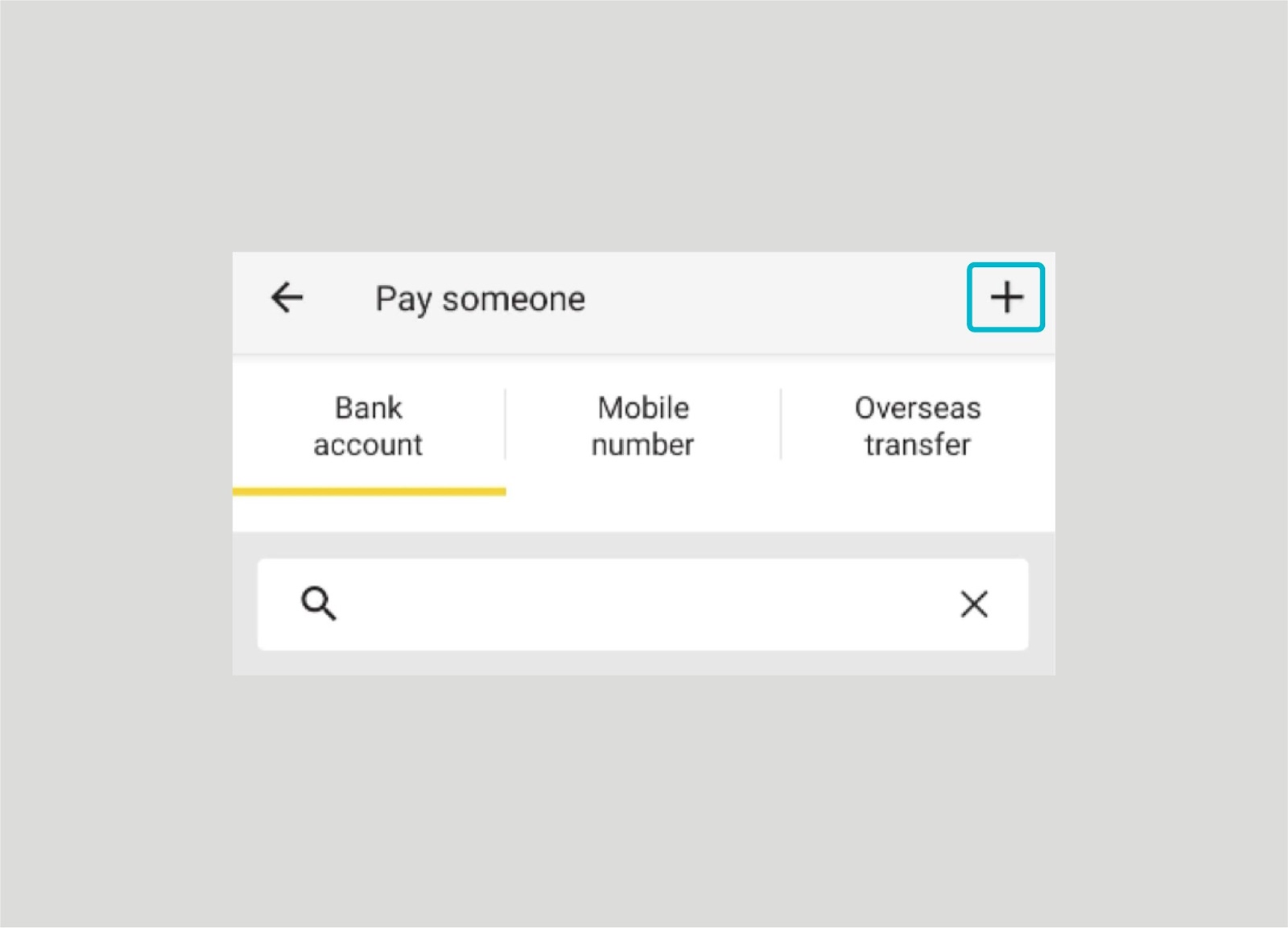 Select + to pay someone NEW