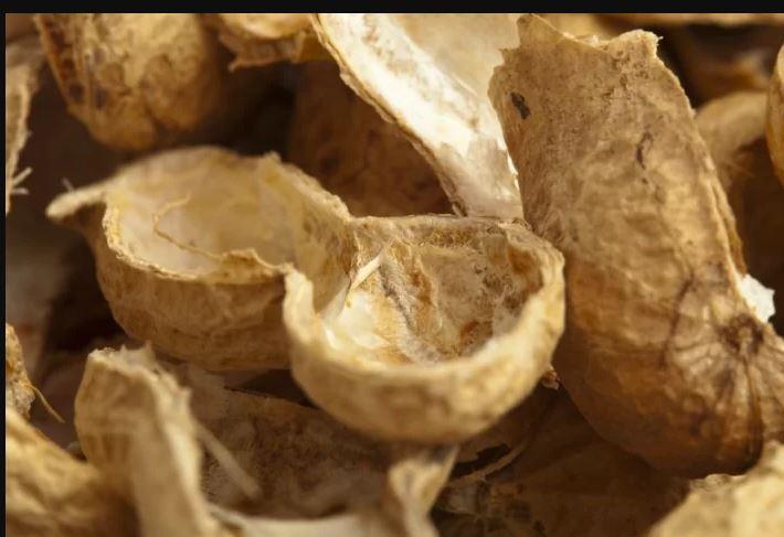 C:\Users\PROCONTEC LTD\Desktop\groundnut shells.JPG