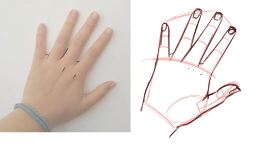Cómo dibujar manos: guía para principiantes | Skillshare Blog