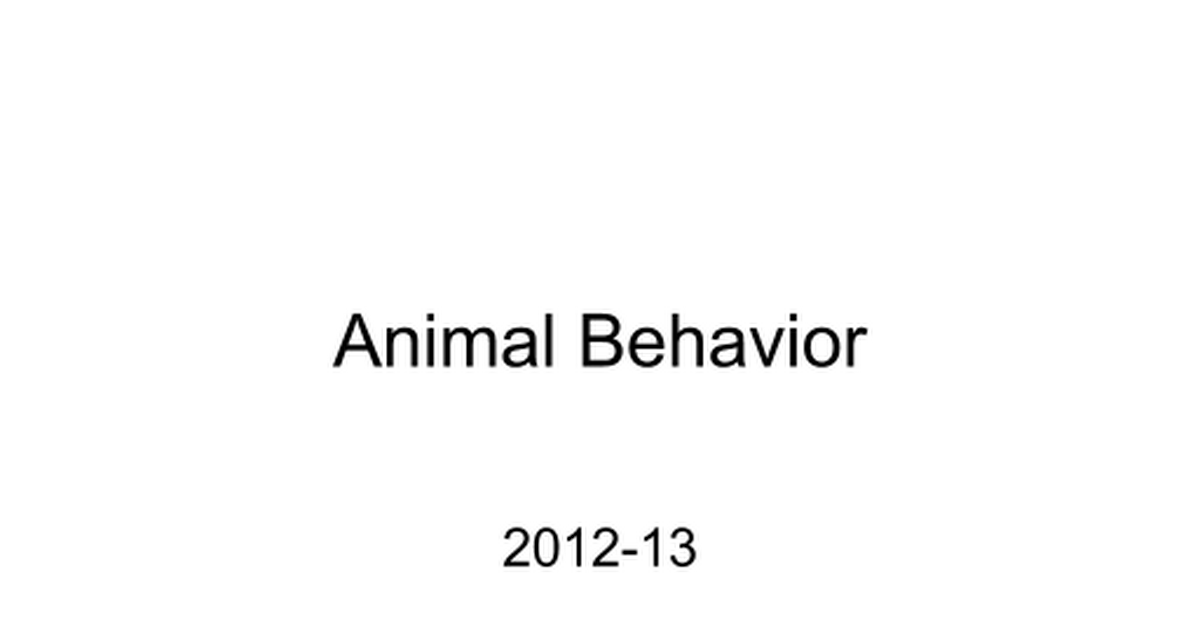 Animal  - Google Slides