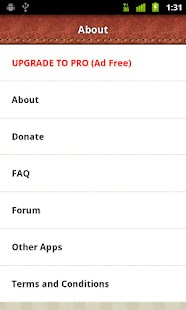 Pocket PRO Key apk Review