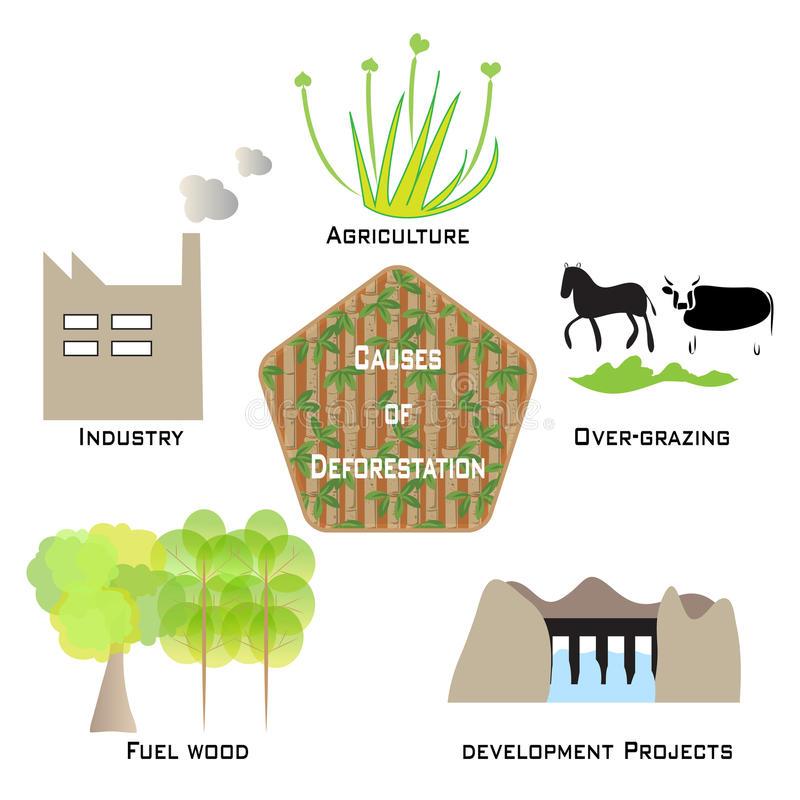 E:\causes-deforestation-infographic-info-graphic-depicting-environmental-concerns-save-planet-eps-file-available-94496906.jpg