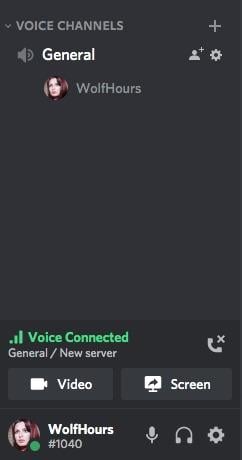 Discord voice channel 