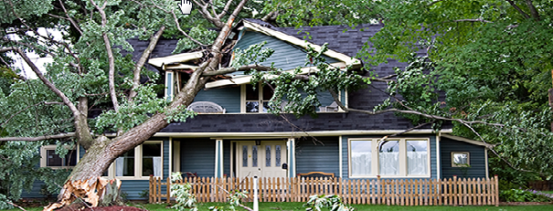 tree fell on a home