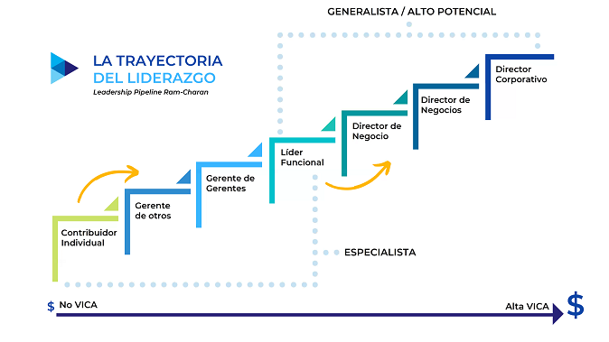 Trayecto del liderazgo - talento alto potencial