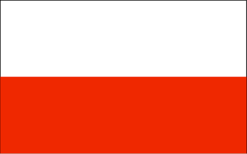 Image result for poland flag