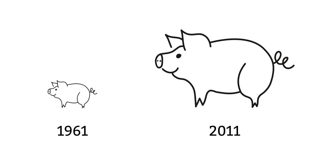 infographic with two pig icons, one several times bigger than the other