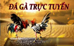 Kho game đá gà S999 đa dạng