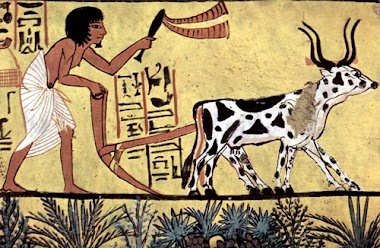 https://www.ancient.eu/article/933/daily-life-in-ancient-egypt/