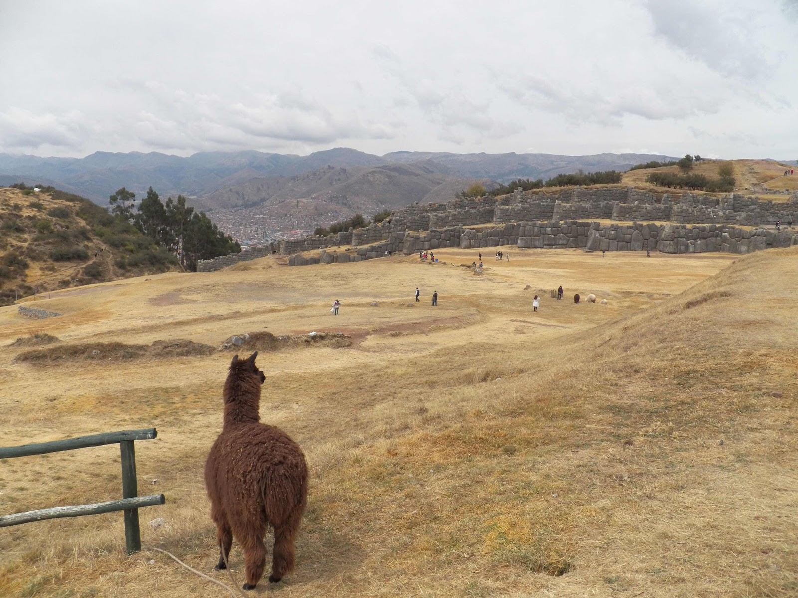 Sacsayhuaman panorama, Cusco, Peru