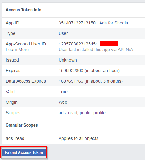 Facebook ads and google sheets - Extended Access Token Info