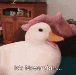 Its November