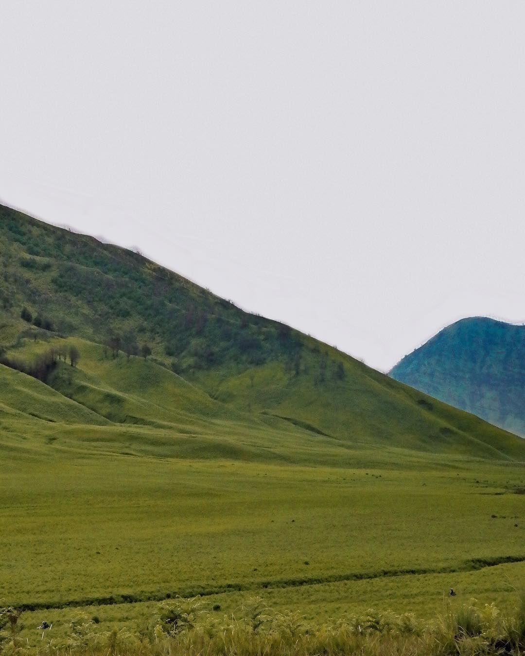 Padang Savana bromo tengger semeru