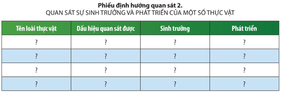 Giải KHTN 7 Bài 36: Thực hành chứng minh sinh trưởng và phát triển ở thực vật, động vật Chân trời sáng tạo