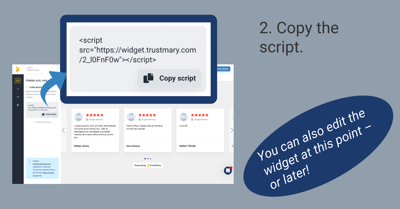copy embed code to add inpage review element