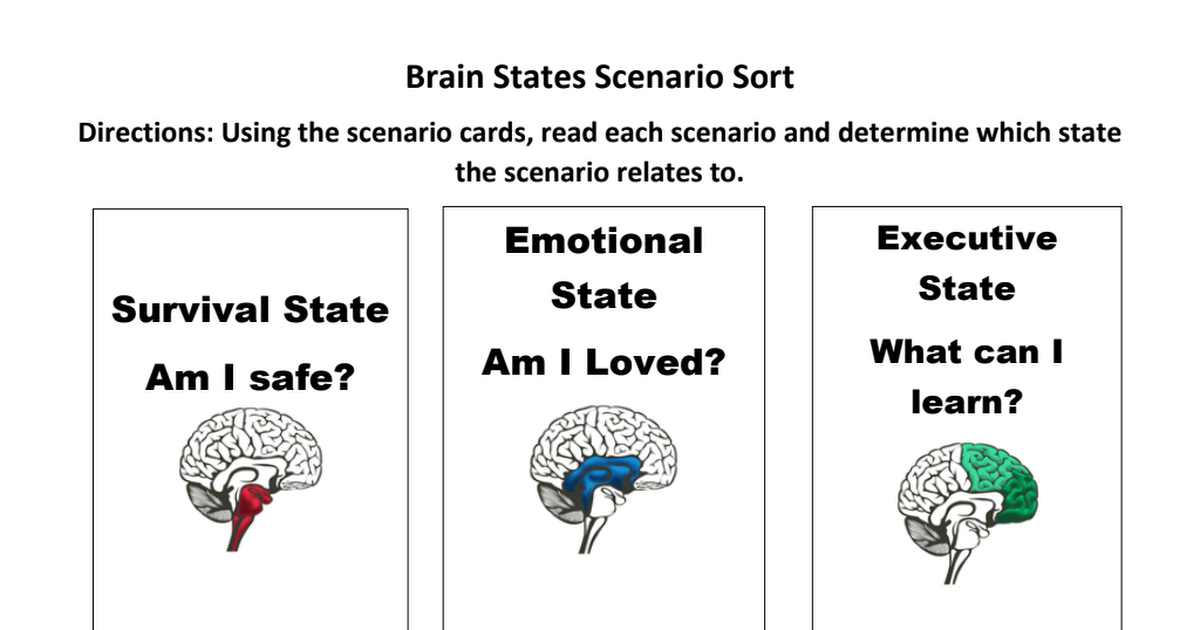 Brain_states_sort_classroom_activity (1).pdf