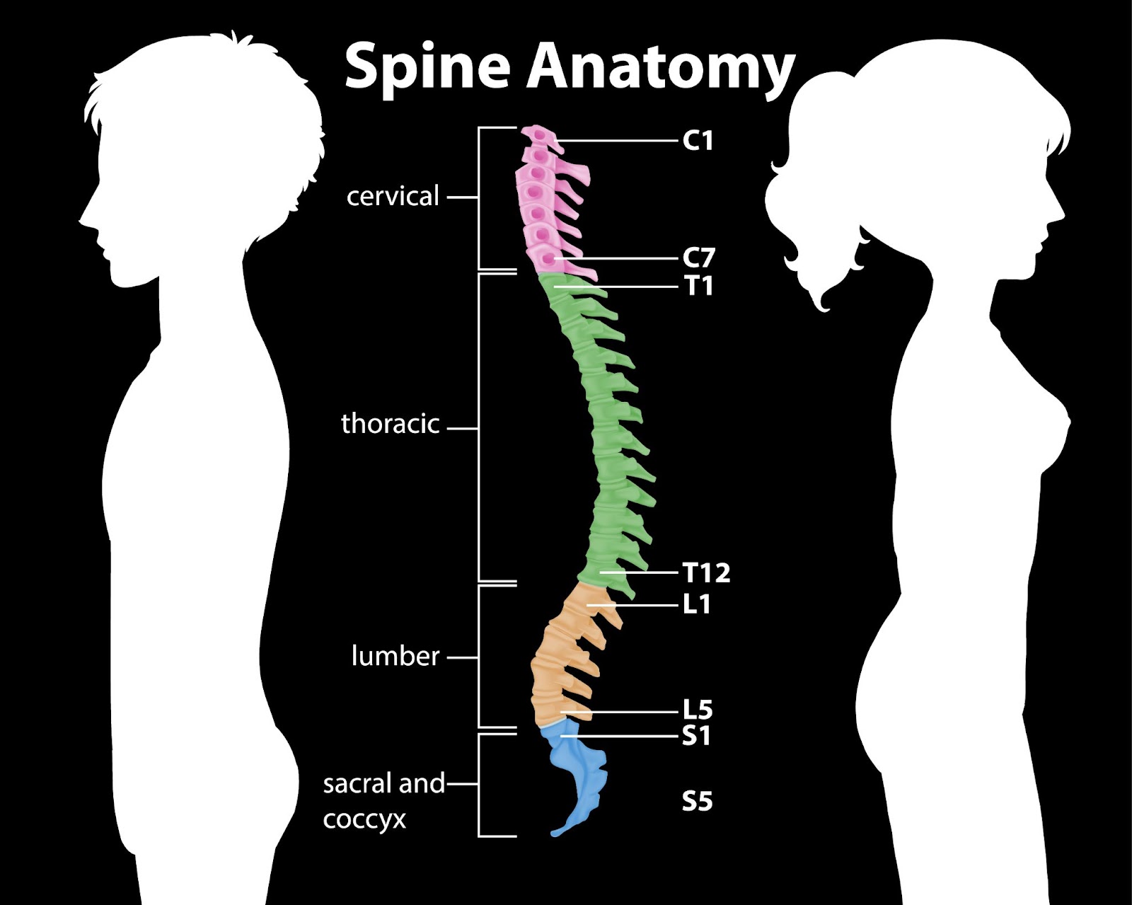 Spinal Decompression Therapy