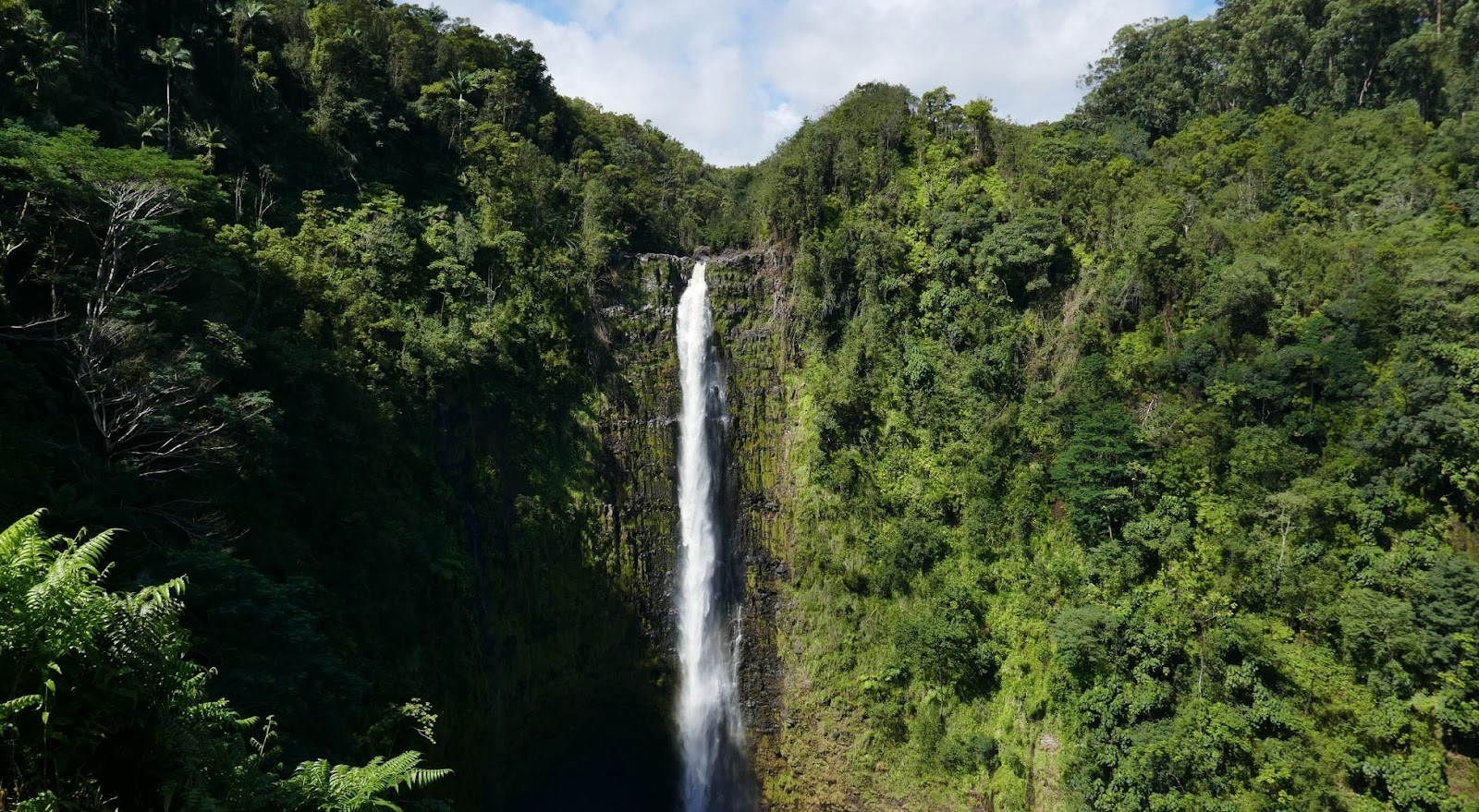 Cascading waterfall in Akaka Falls State Park in Hawaii