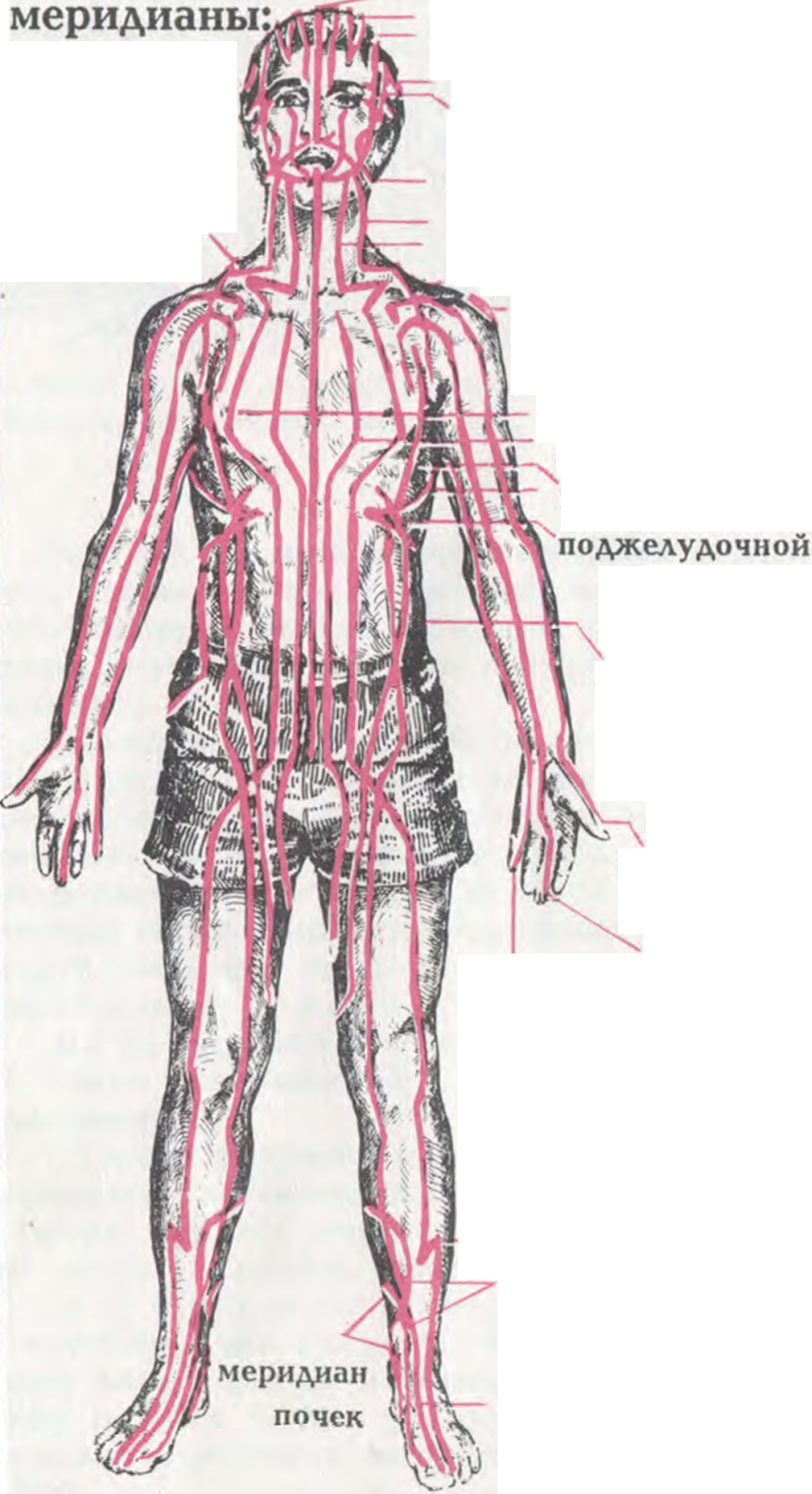 https://lh4.googleusercontent.com/PXWd5cyq9RYpxac8OXxVWKap2HgaZRQFvkKN8W0AsbhzTLuzPsf-ubbnwiNLR0Ti2rlEZxMWyW35Glh4caqdz9Jv01MII5gQ3t-GMQ94tFBiR2_BG-vWbUVtRszPEHVEH488ZVAg7L6aFURRGUc5tQ