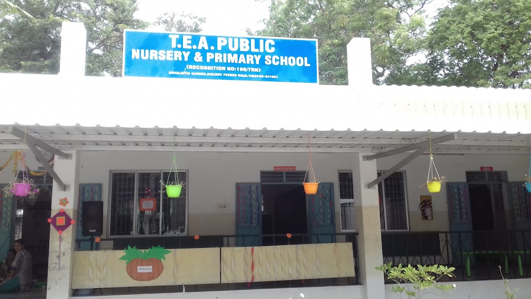 T.E.A. Public Nursery And Primary School